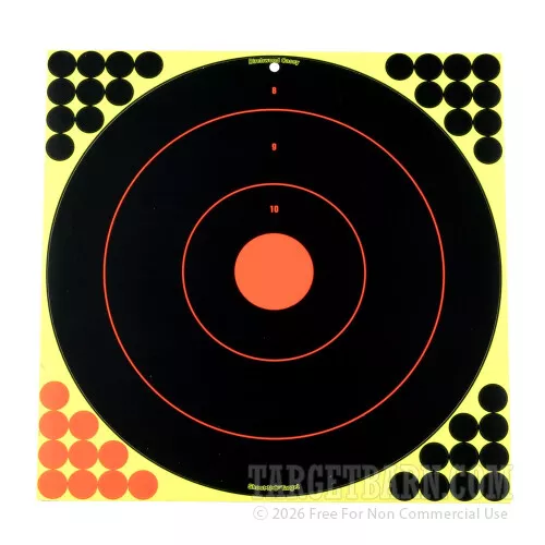 17.25″ Shoot-N-C Targets – Birchwood Casey Bulls-Eye