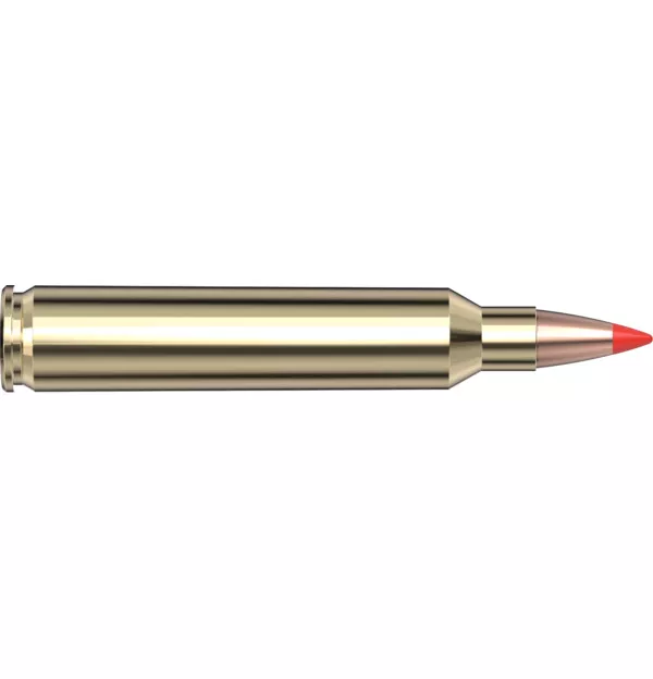 204 Ruger 40 gr V‑MAX Superformance – Hornady Manufacturing, Inc
