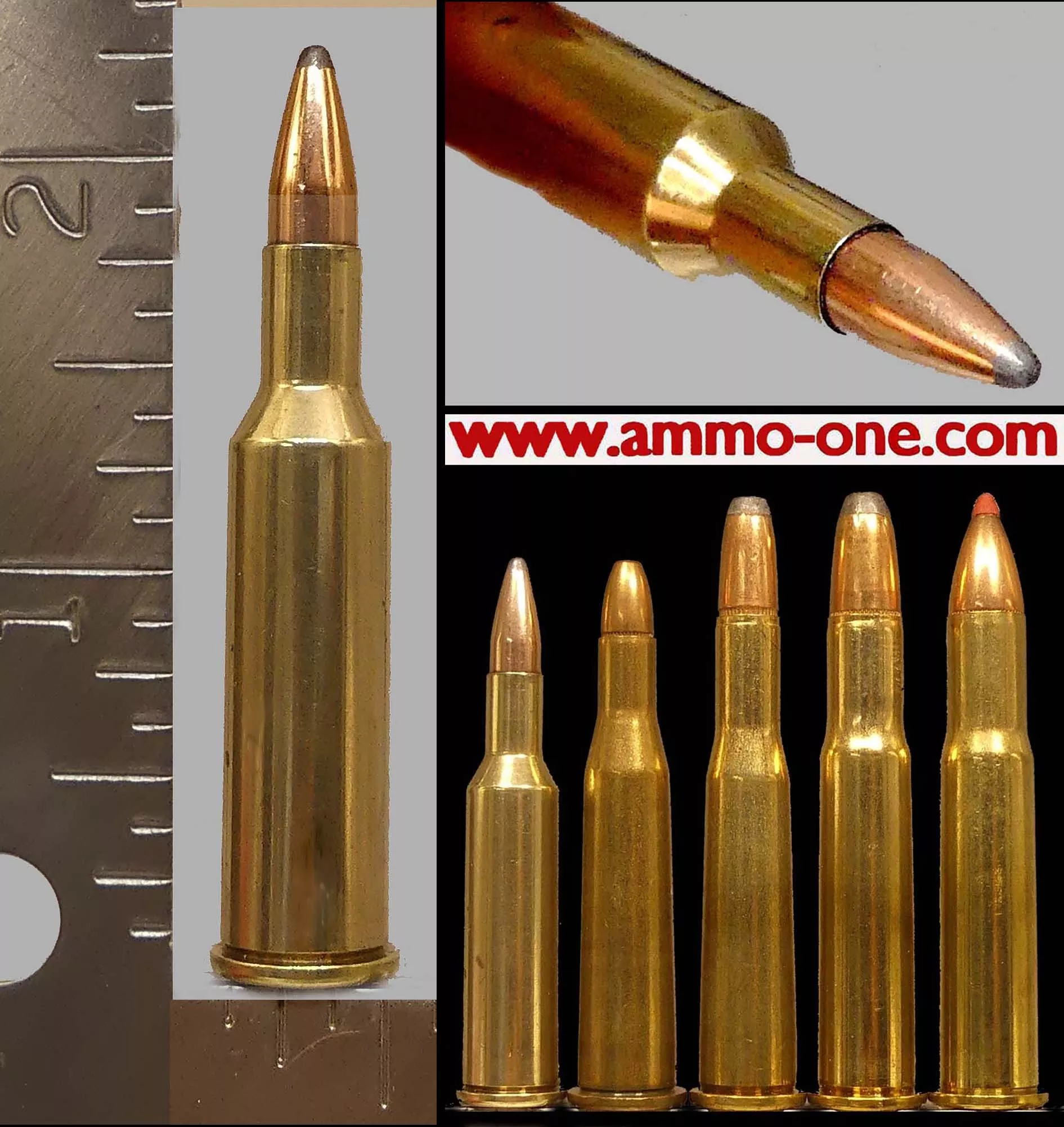 .219 Donaldson Wasp Wildcat, One Cartridge, not a box. – Ammo-One1