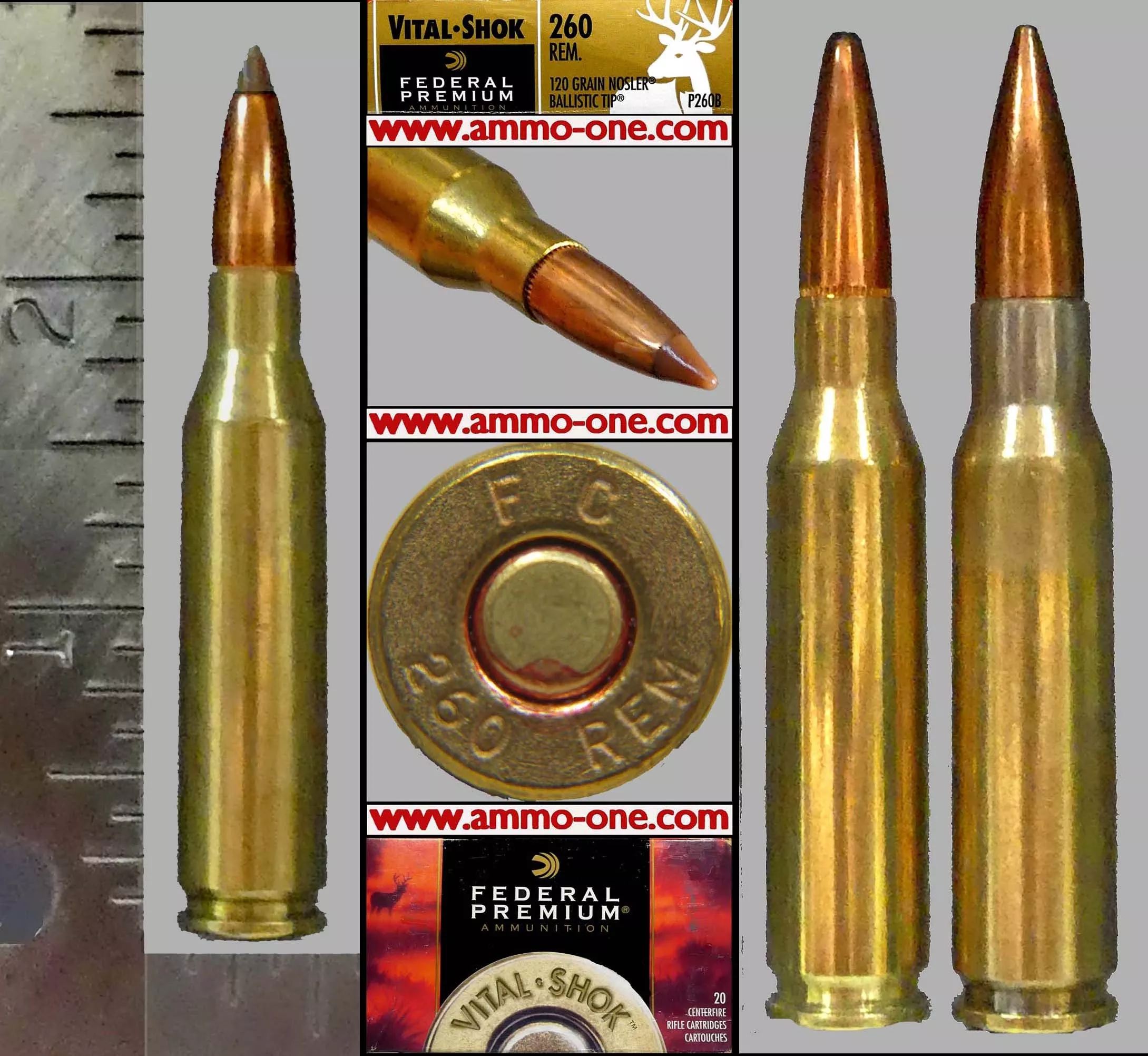 .260 Remington, “F.C.” H/S by Federal, Ballistic Tip, One Cartridge not a Box. – Ammo-One1