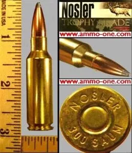 .300 Rem. SAUM by Nosler, 165gr JSP, One Cartridge not a Box. – Ammo-One1