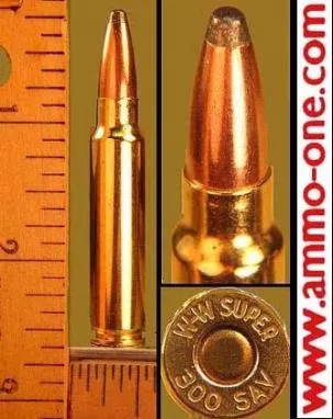.300 Savage, “W-W SUPER” H/S by Winchester, JSP, One Cartridge not a Box ! – Ammo-One1