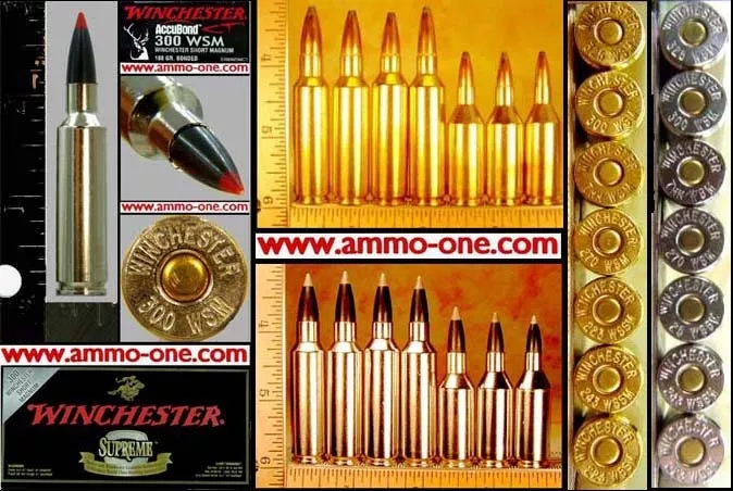 .300WSM by Winchester, “SUPREME”, “Nickel Case!”, “Bonded Red Tip” One Cartridge not a Box! – Ammo-One1