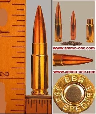 .338 Spectre, SBR 300 Gr. JHP Sub-Sonic, One Cartridge not a Box – Ammo-One1
