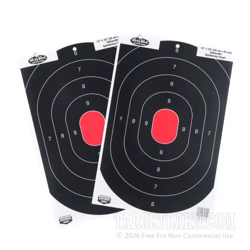 Birchwood Casey Dirty Bird - B-24 Silhouette Targets - 100 Pack