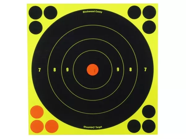 Birchwood Casey Shoot-N-C Targets 8″ Bullseye Pack of 30 with 120 Pasters (30Pk)