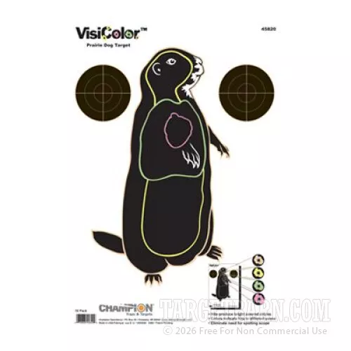Champion VisiColor Prairie Dog Reactive High Visibility Hunting Practice Targets for Sale – 10 Count