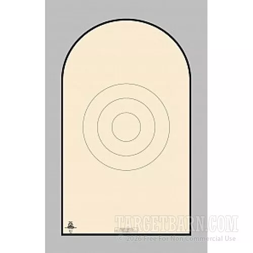 NRA D-1-T Targets for Sale – GSSF & ICORE