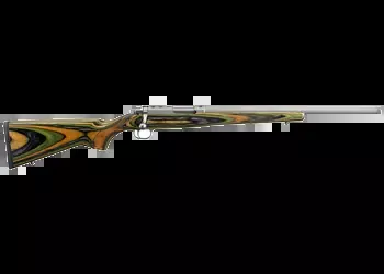 Ruger - 77/22